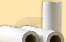 plain paper rolls, printed paper rolls, thermal paper rolls, carbonless paper rolls